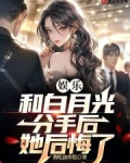 娱乐:和白月光分手后,她后悔了
