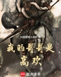 我的哥哥是高欢