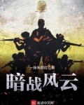 暗战风云
