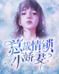 总裁情锁小娇妻