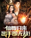 仙尊归来,出手即无敌!