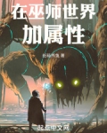 在巫师世界加属性