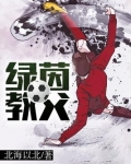 绿茵教父