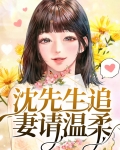 沈先生追妻请温柔