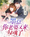 墨总,你老婆又来勾魂了