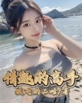 情趣的高手
