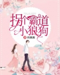 拐个霸道小狼狗