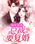 刻骨情深:总裁要复婚
